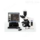 專業偏光顯微鏡BX51-P