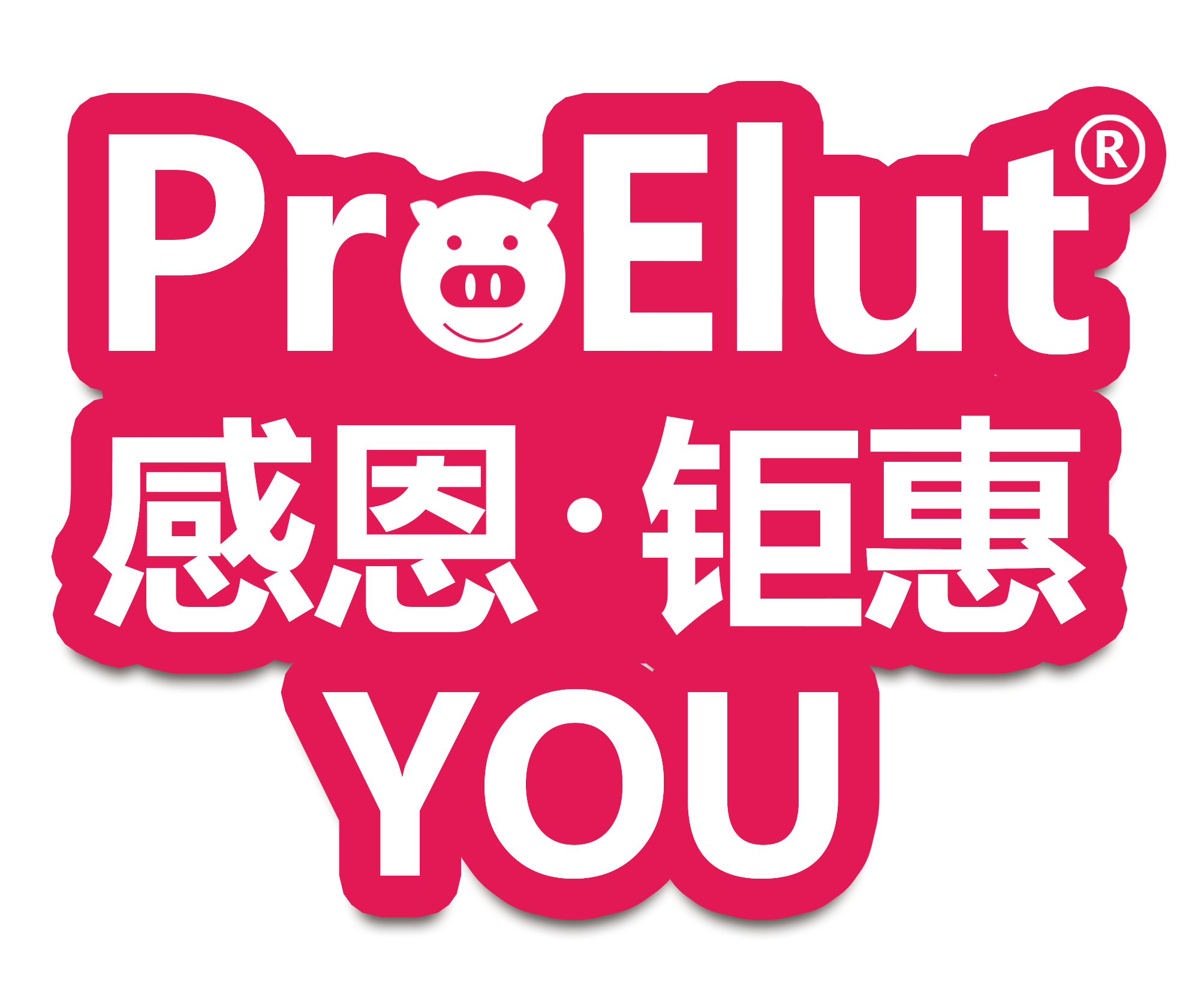 ProElut 感恩·* YOU