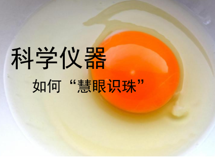 土鸡蛋也有假冒 科学仪器能否帮助消费者“慧眼识珠”