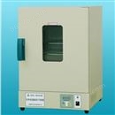 电热恒温干燥箱DHG-9031A