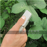 植物叶片温度测量仪
